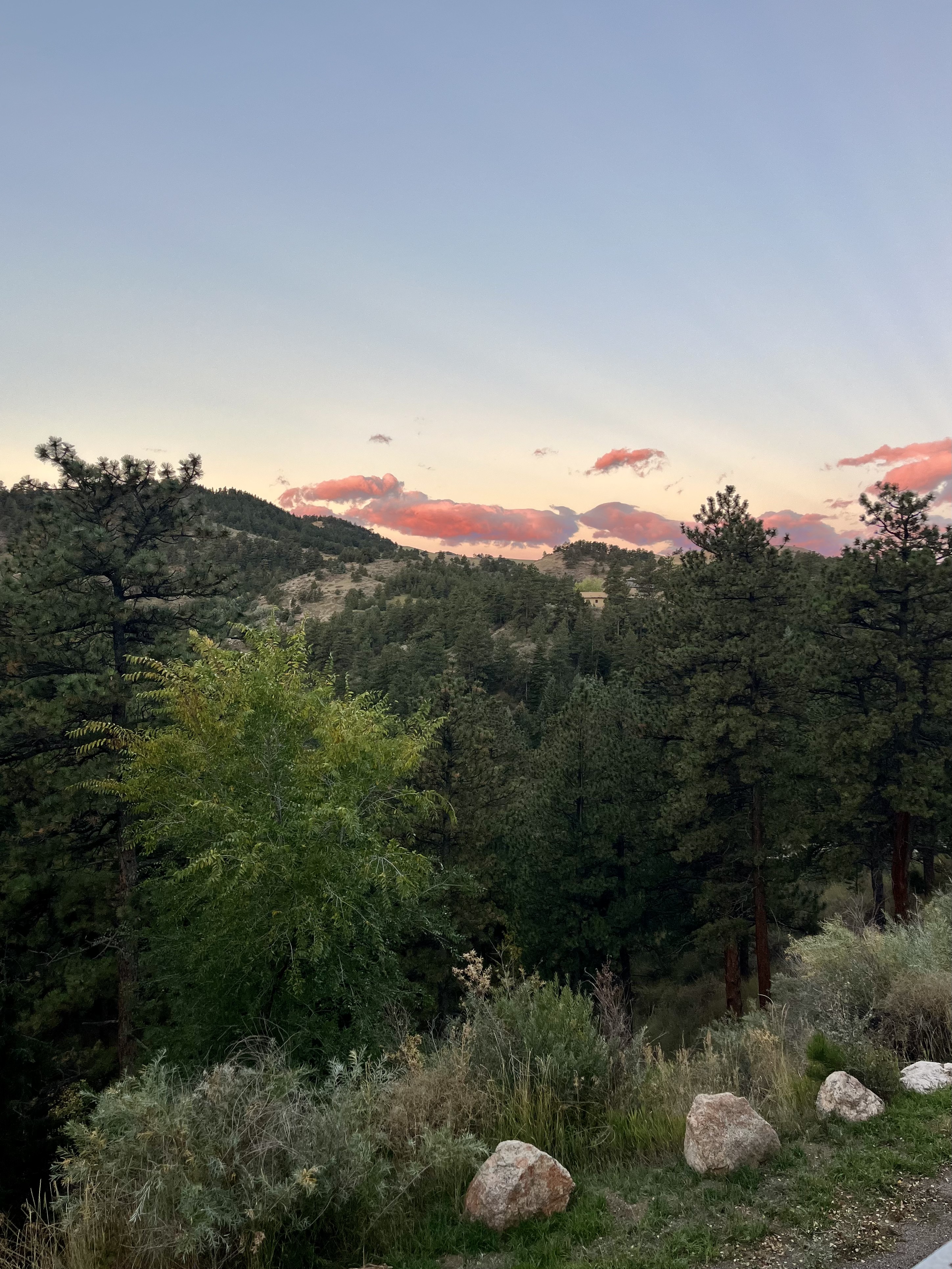 Colorado Rocky Mountains at golden hour sunset with vibrant pink and coral clouds above silhouetted pines