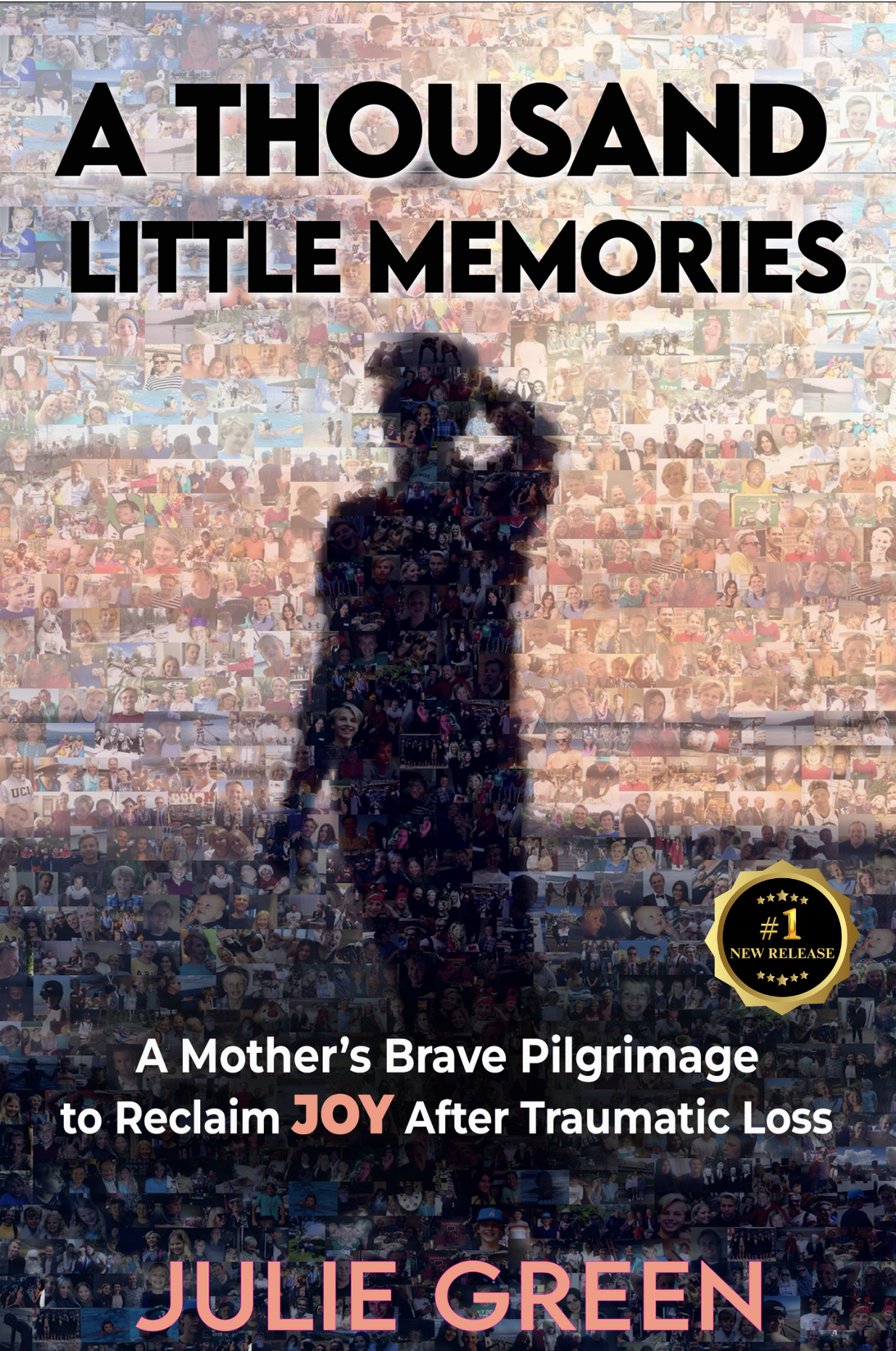 Cover of A Thousand Little Memories by Julie Green