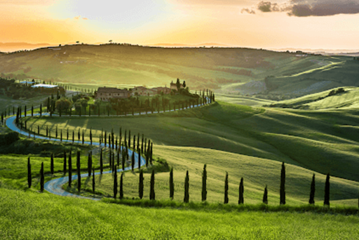 Tuscan Hills